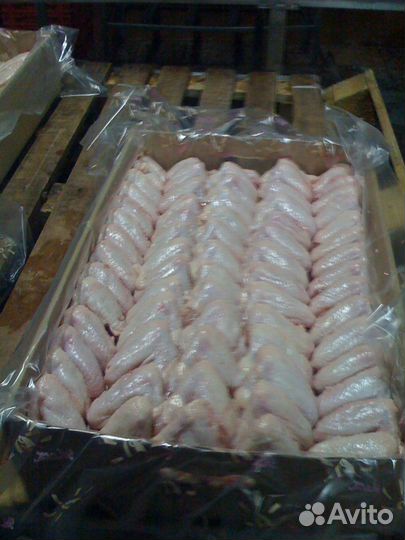 Крыло курицы, фарш куриный гост, филе тушки, филе