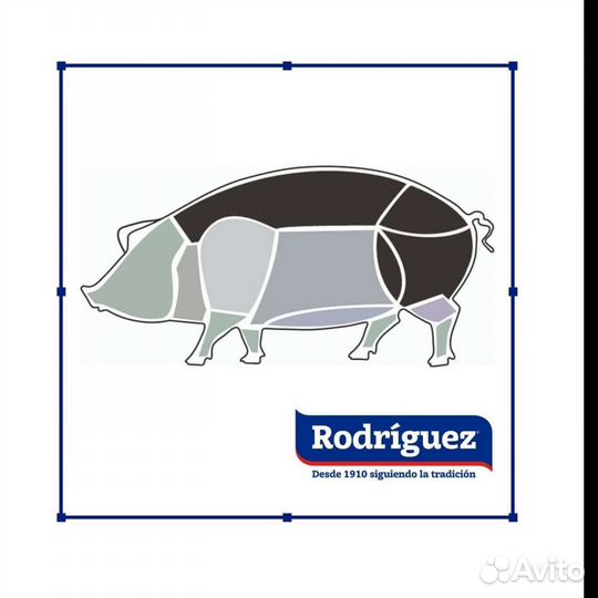 Хамон Rodriguez