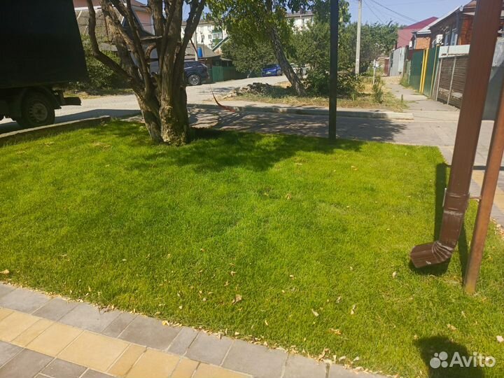 Рулонный Газон Волгоградский