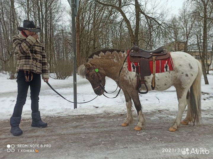 Катание на пони, фотосессии