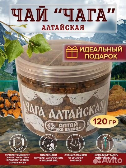 Березовый гриб чага