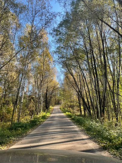 Участок 6 сот. (ИЖС)