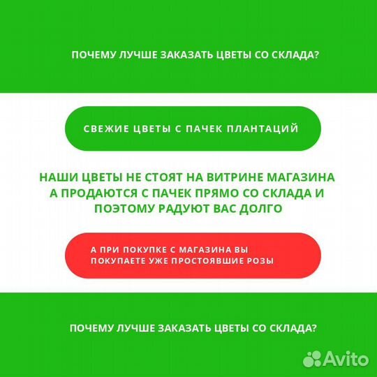 Метровые эквадорские розы из 25, 51, 101 доставка