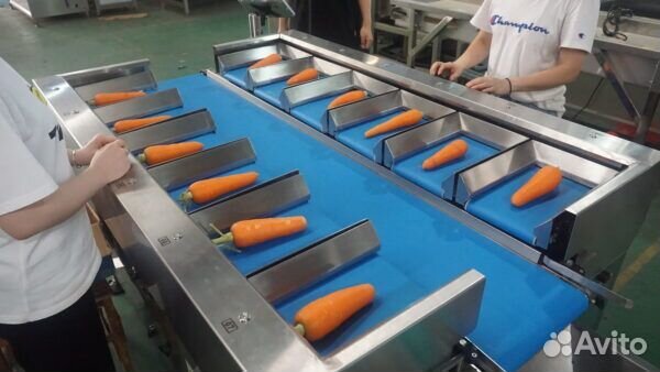 Линия Horizontal Fruit Vegetable Weighting Packing