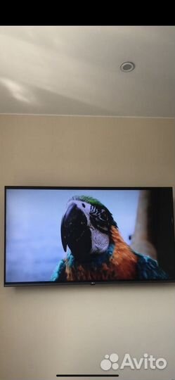 Телевизор LG 55
