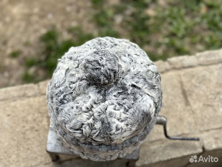 Каракулевая боярка