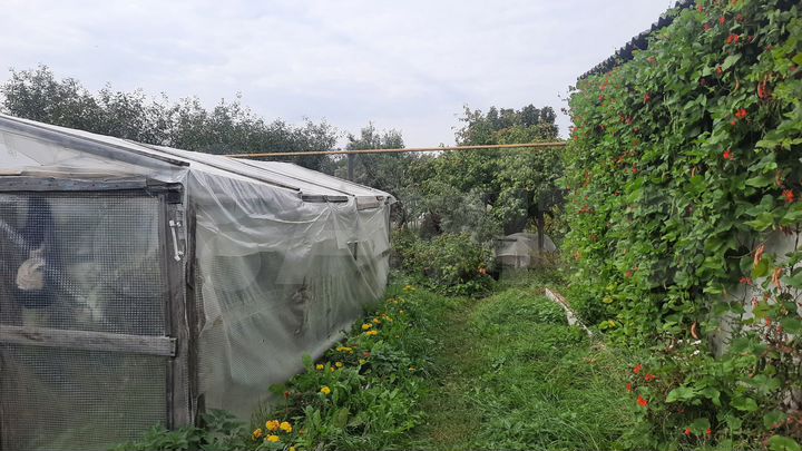 Дом 65 м² на участке 35 сот.