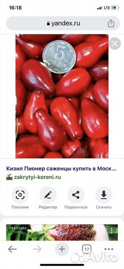 Кизил Алеша и Пионер