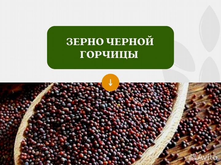 Чёрная горчица (кг)