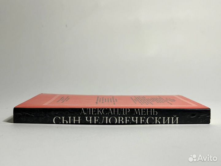 Александр Мень Сын человеческий