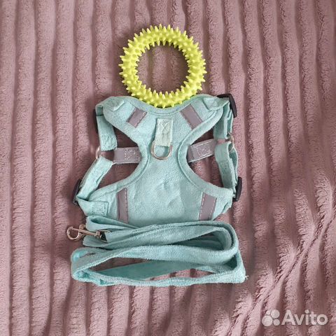 Шлейка для собаки