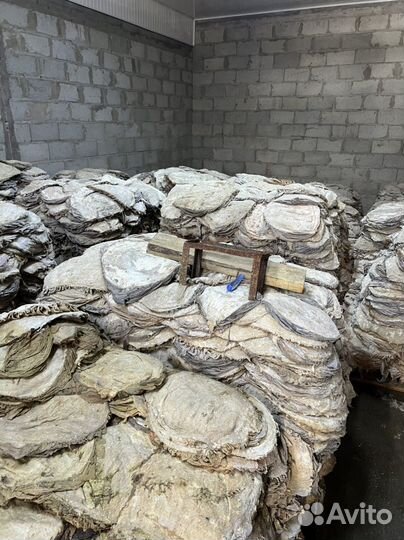 Говяжий книжки