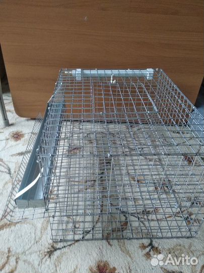 Клетка для перепелов