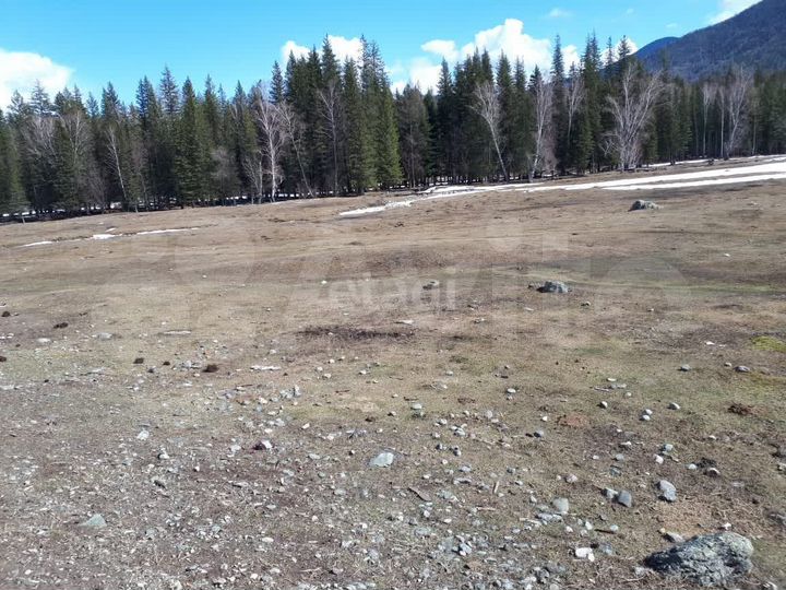 Участок 20 сот. (ИЖС)