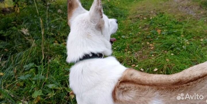 Девочка Пыжума