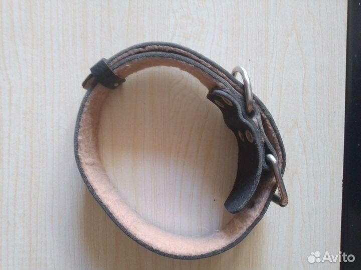 Шлейка, ошейник, поводок и кормушка