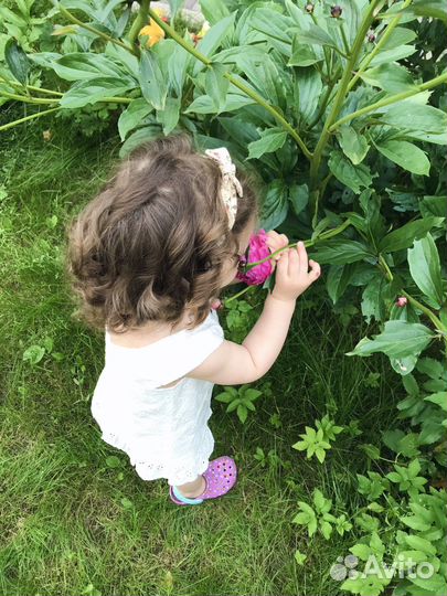 Детские вещи для девочки