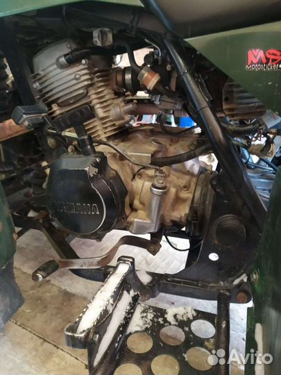 Yamaha Bear Tracker 250