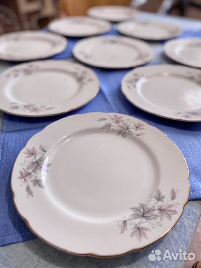 Набор тарелок (10 шт.)