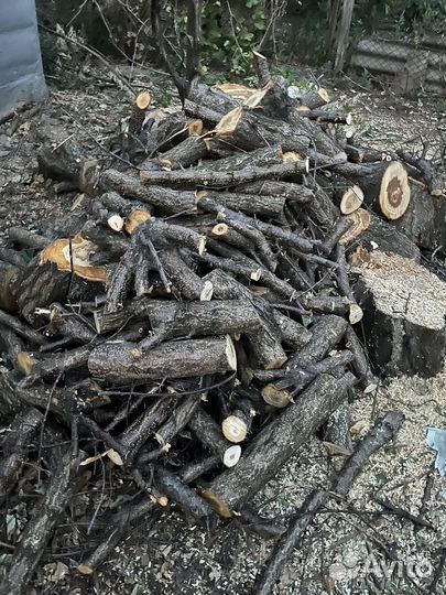 Дрова фруктовые