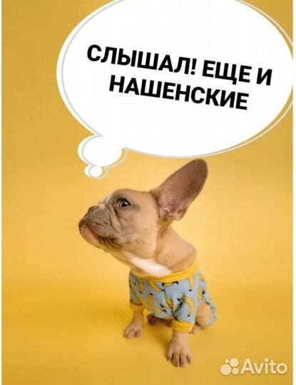 Пеленки для животных 65 шт