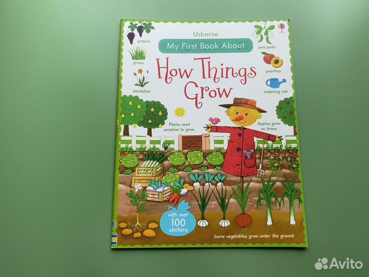 Книга для изучения английского языка Usborne