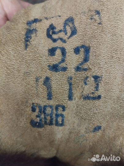 Лиса чернобурка