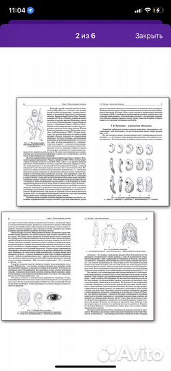 Книга физиология человека просто о сложном