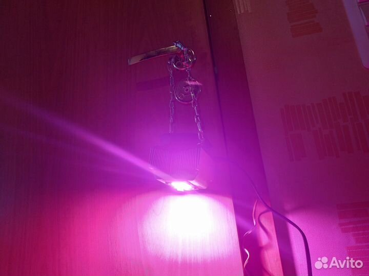 Фитосветильник 50 ватт