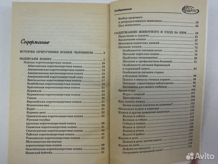 Короткошерстные кошки. Ласковые любимцы