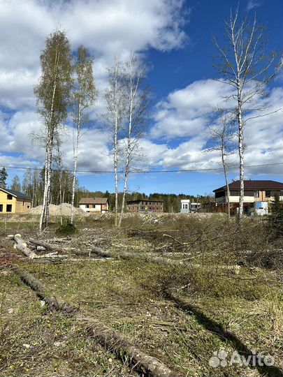 Вырубка деревьев расчистка участков