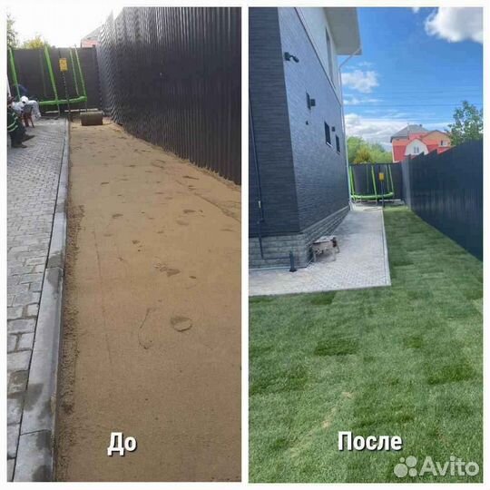 Рулонный газон, укладка, продажа