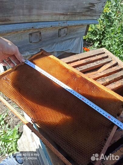 Ульи для пчел, рамки
