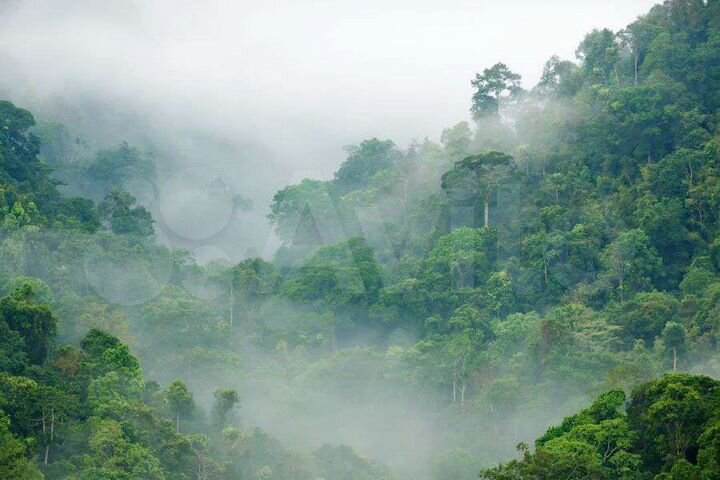 Дача 43 м² на участке 1 сот.