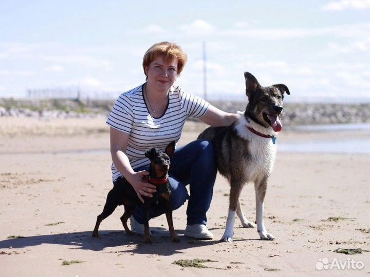 Кинолог, дрессировка собак, зоопсихолог