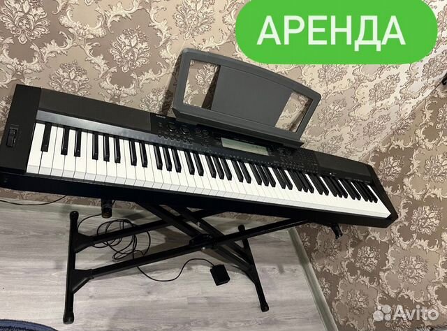 Прокат цифровых пианино продажа купить в Москве | Хобби и отдых | Авито
