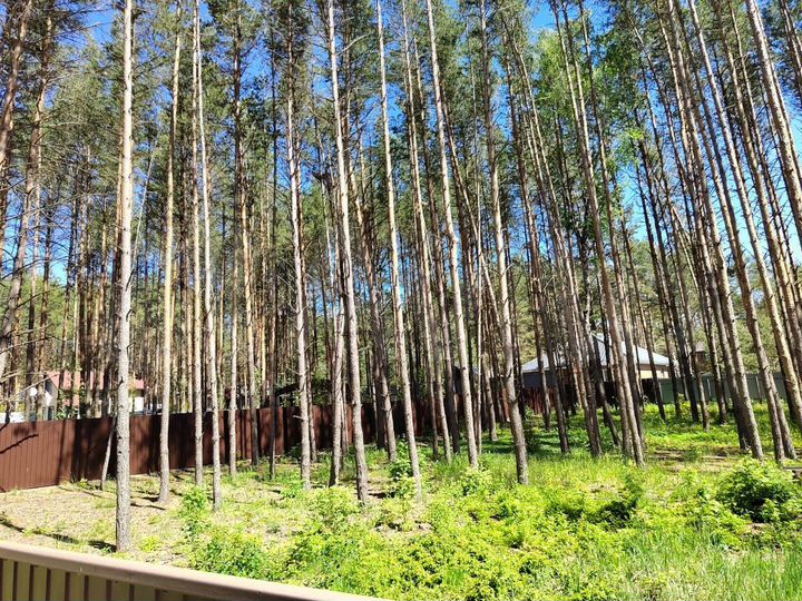 Участок 12,5 сот. (ИЖС)