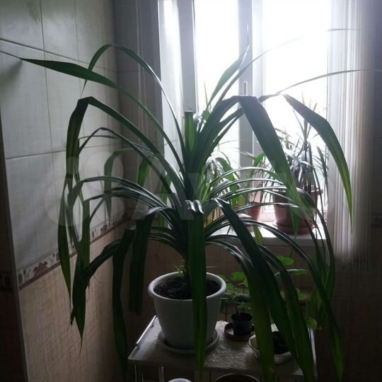 Дом 65,9 м² на участке 4 сот.