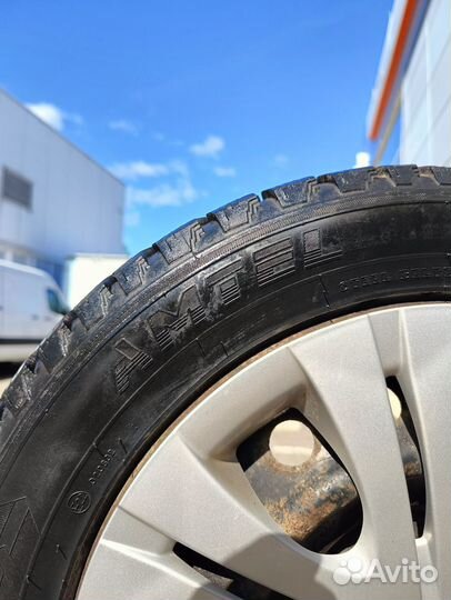 Amtel NordMaster CL 205/55 R16 91T