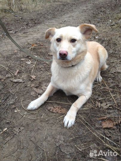 Нежная, милая Кэтти верит в чудо