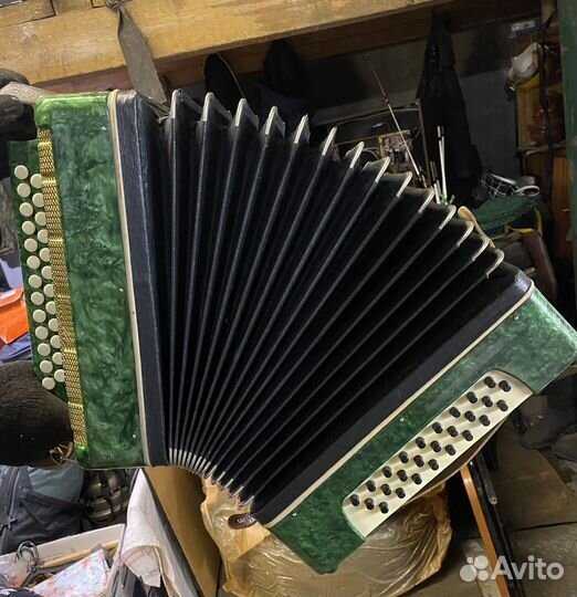 Гармонь ромашка