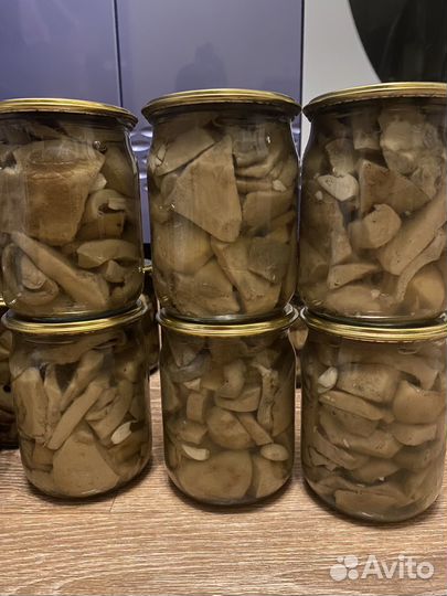 Грибы валуи грузди 2023