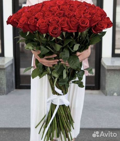 Розы Цветы Букеты 25 151 201 101 301 501 опт