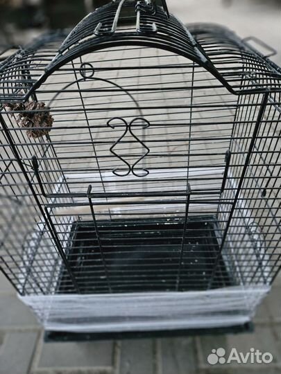 Клетка для попугая корелла