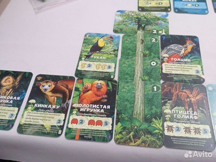 Настольная игра Амазония