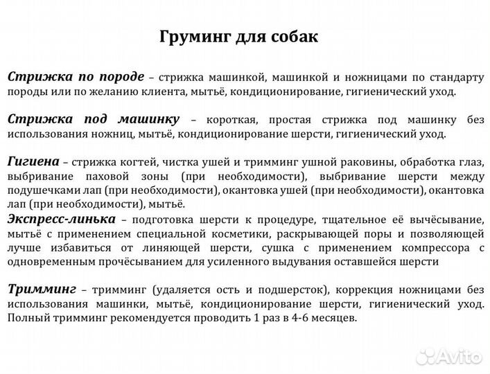 Груминг собак и кошек. Тримминг. Чистка зубов