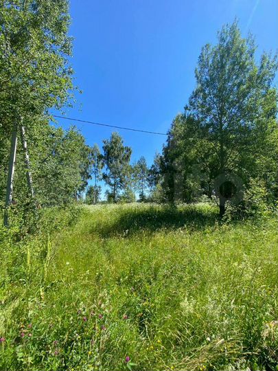 Участок 15 сот. (ИЖС)