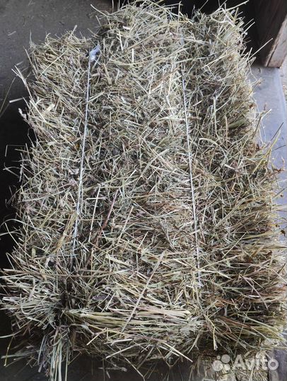 Сено в тюках