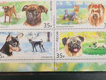 Чистые марки Фауна (собаки), Россия, 2019