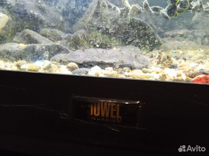 Аквариум 250 литров с тумбой juwel